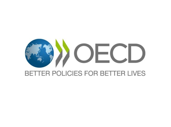 Programa de Jóvenes Asociados OCDE 2024-26