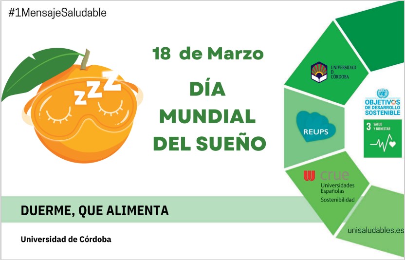 cartel día mundial sueño