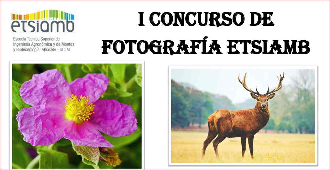 I CONCURSO DE FOTOGRAFÍA ETSIAMB