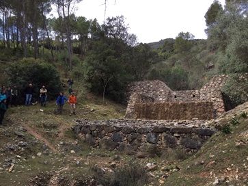 Cazorla1