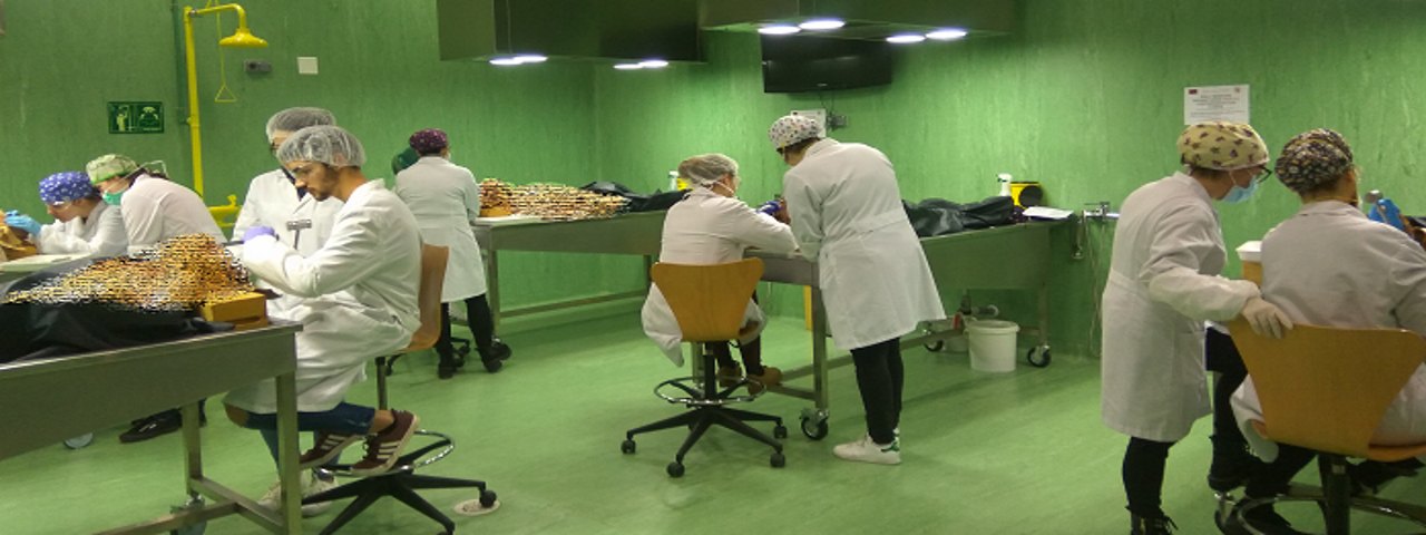 Sala_diseccion