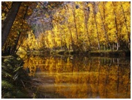 Cuenca y naturaleza